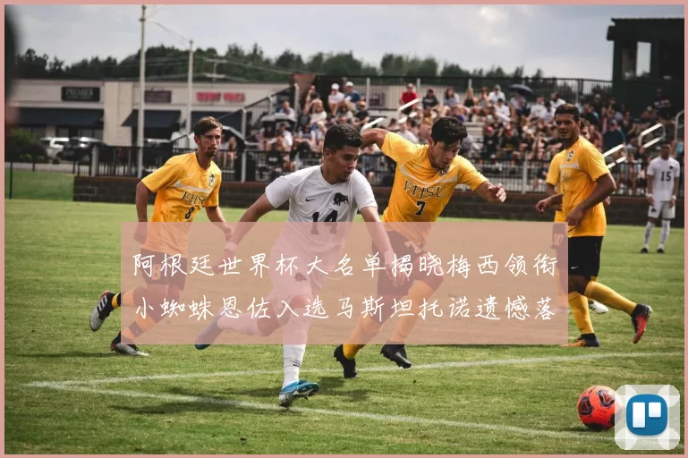 阿根廷世界杯大名单揭晓梅西领衔小蜘蛛恩佐入选马斯坦托诺遗憾落选