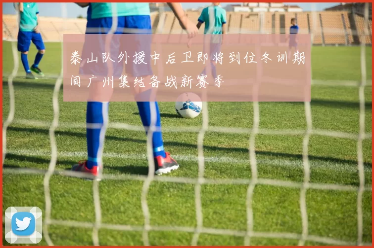 泰山队外援中后卫即将到位冬训期间广州集结备战新赛季