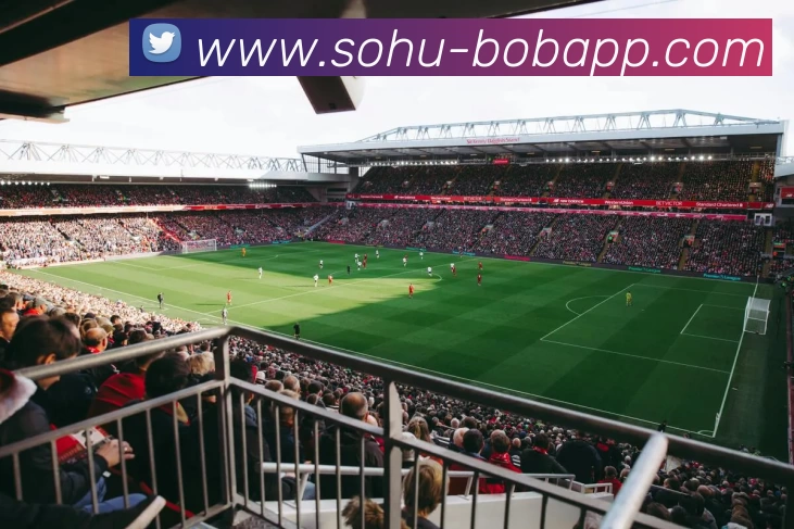 BOB体育全站App